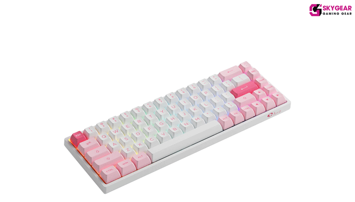 3068B Multi-modes Prunus Lannesiana