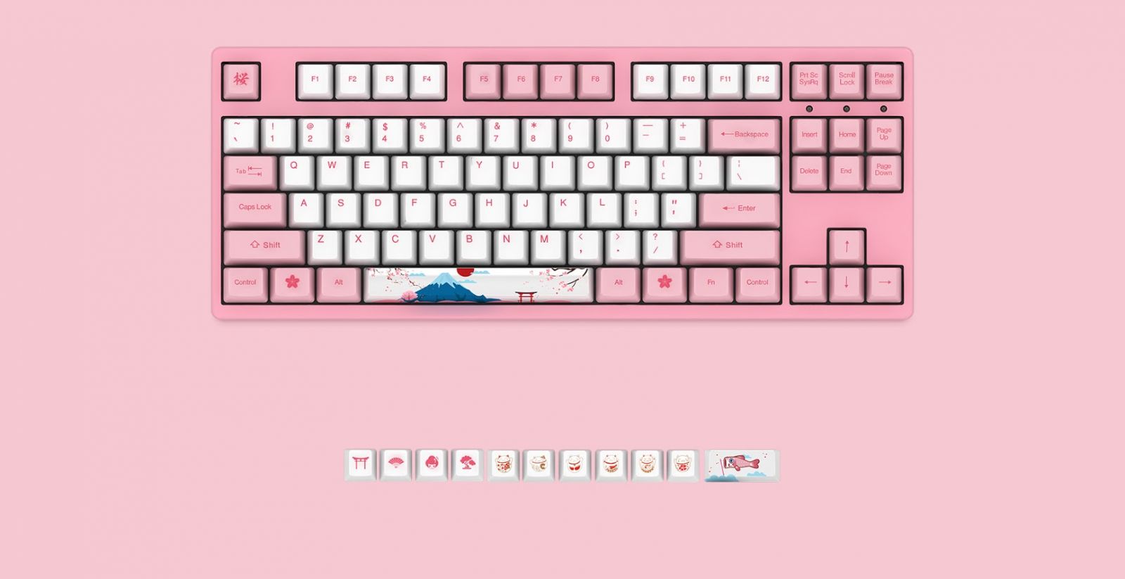 AKKO 3087 World Tour Tokyo