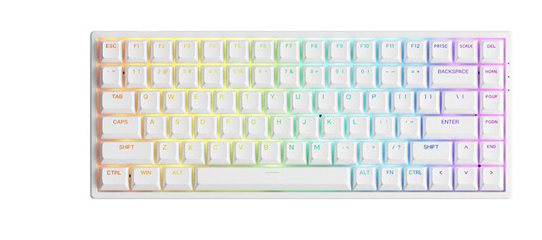 Bàn phím cơ AKKO 3084 White v2 RGB Akko CS Jelly Purple switch