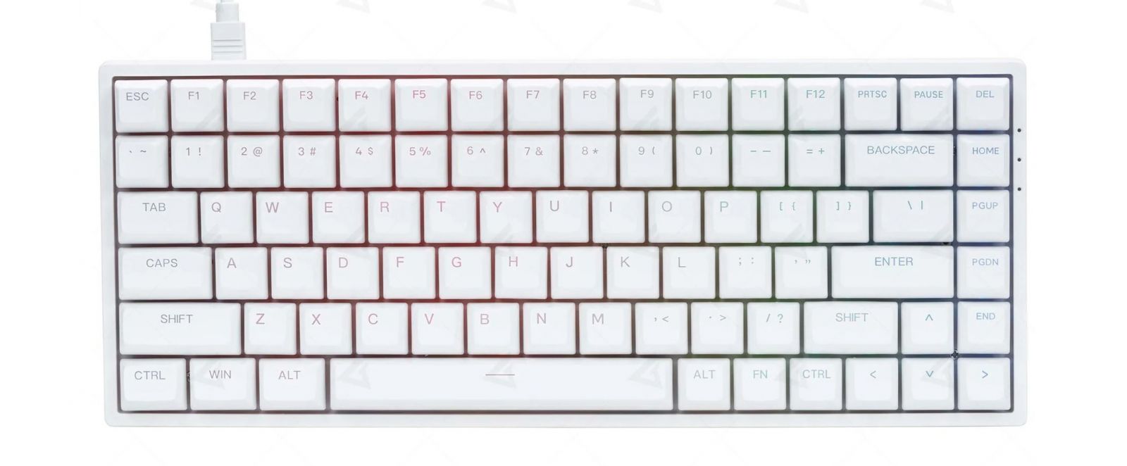 Bàn phím cơ AKKO 3084 White v2 RGB Akko CS Jelly Purple switch