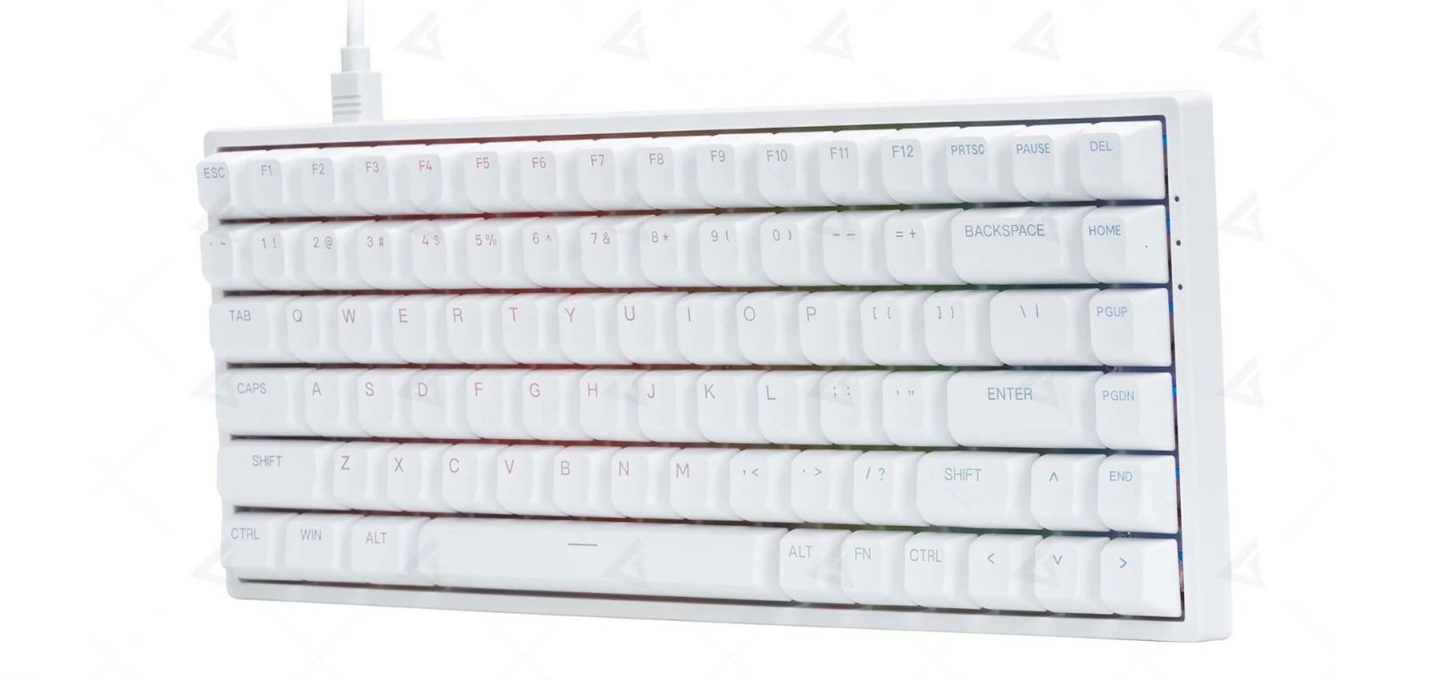 Bàn phím cơ AKKO 3084 White v2 RGB Akko CS Jelly Purple switch