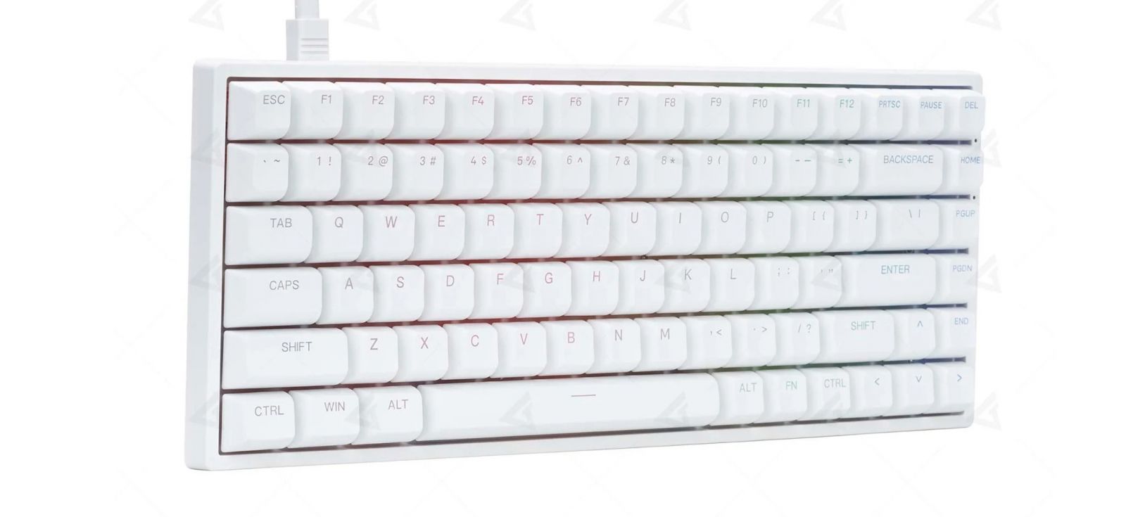 Bàn phím cơ AKKO 3084 White v2 RGB Akko CS Jelly Purple switch