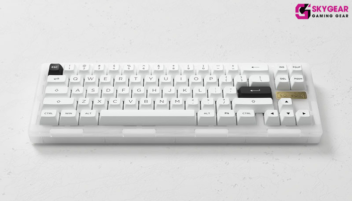 bàn phím cơ AKKO ACR Pro 68 giá rê