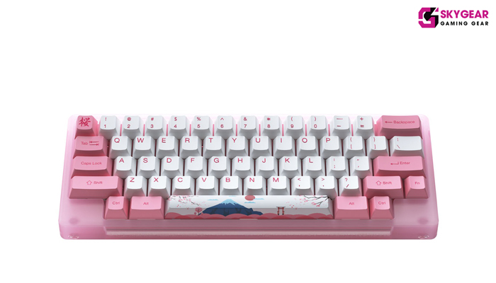  ACR59 World Tour Tokyo