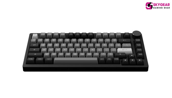 kit bàn phím cơAKKO PC75B Plus (Black & Silver / Blue on White)