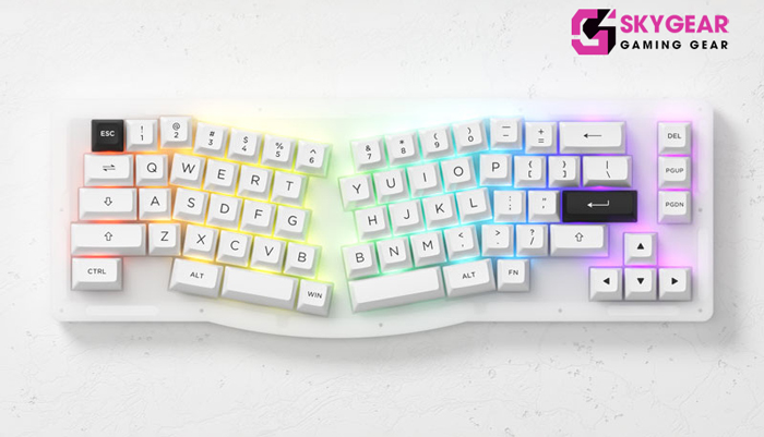 Bàn phím Akko ACR Pro Alice Plus