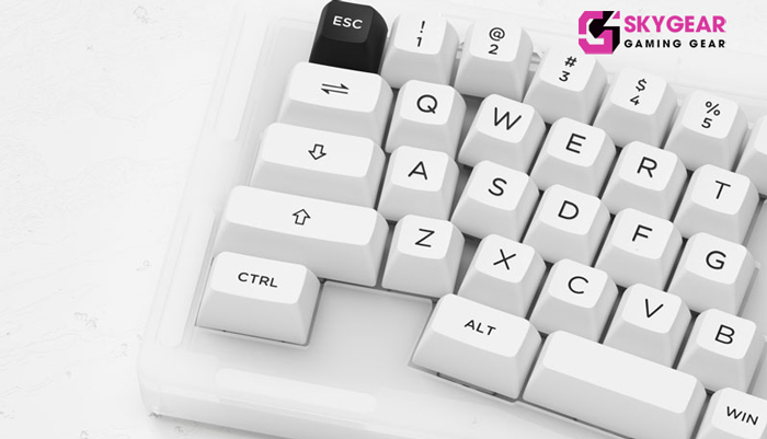 Bàn phím Akko ACR Pro Alice Plus