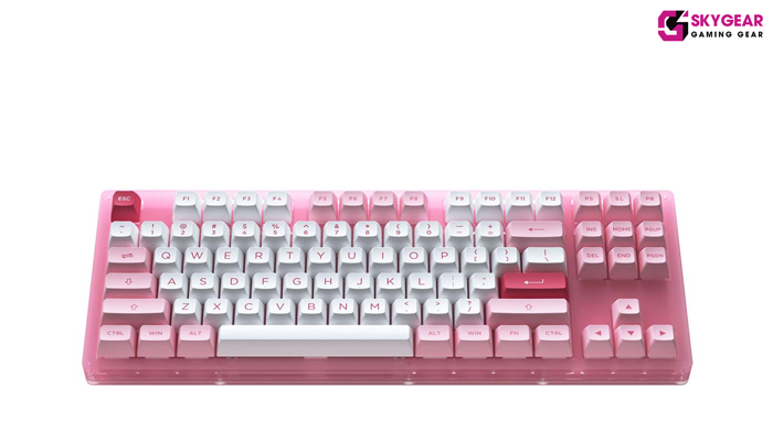 BÀN PHÍM CƠ AKKO ACR87