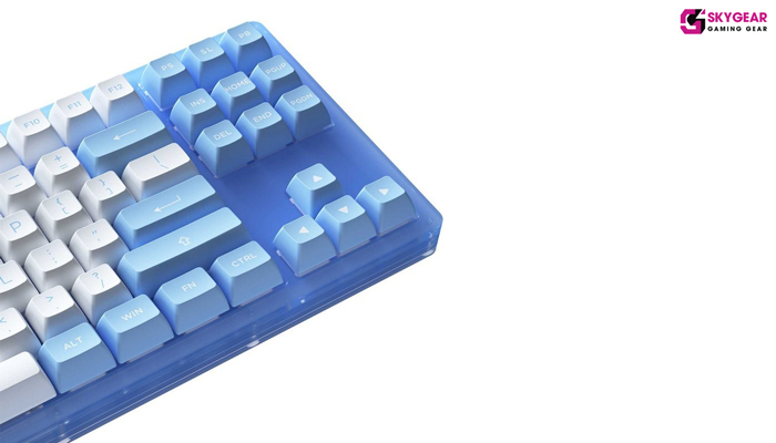 BÀN PHÍM AKKO ACR87 - BLUE