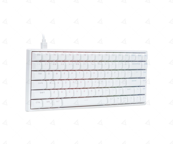 Bàn phím cơ AKKO 3084 v2 RGB - White  Akko CS Jelly Purple switch