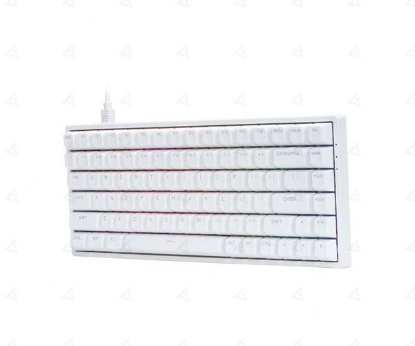 Bàn phím cơ AKKO 3084 v2 RGB - White  Akko CS Jelly Purple switch