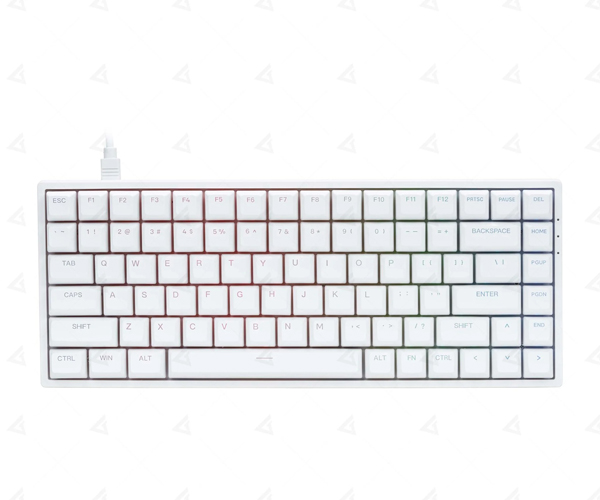 Bàn phím cơ AKKO 3084 v2 RGB - White  Akko CS Jelly Purple switch