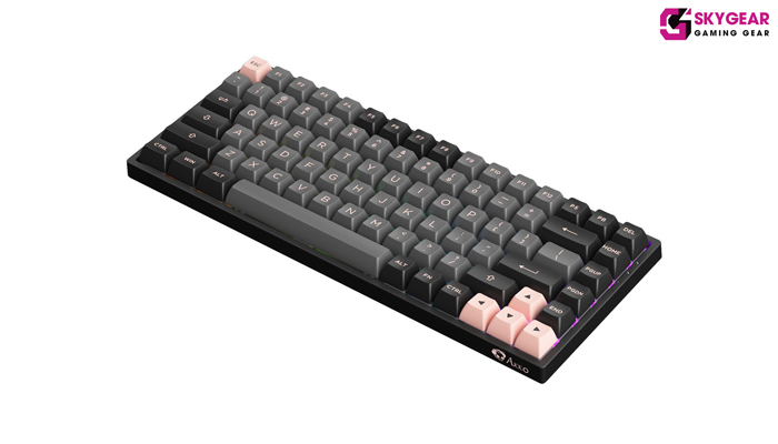 kit Bàn phím cơ AKKO 3068B Multi-modes Black Pink