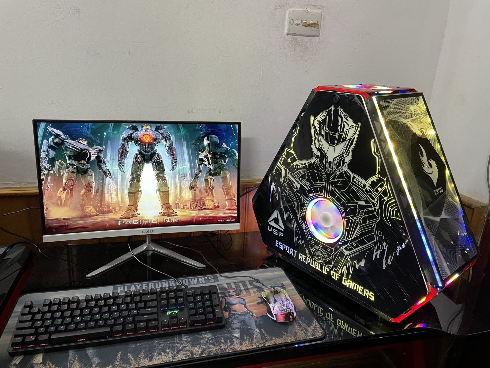 CASE VSP ESPORT REPUBLIC OF GAMERS ES4