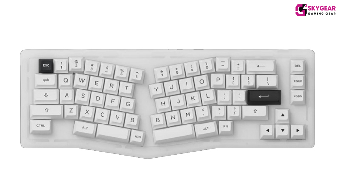 Kít bàn phím cơ  AKKO ACR Pro - Alice Plus