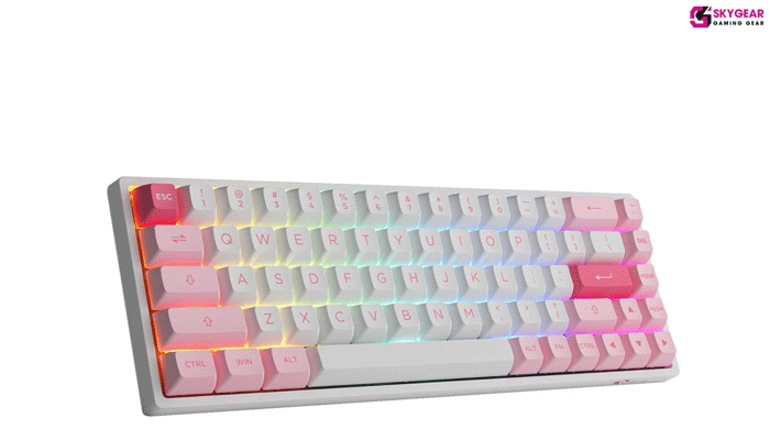 Kit bàn phím cơ AKKO 3068B Multi-modes Prunus Lannesiana