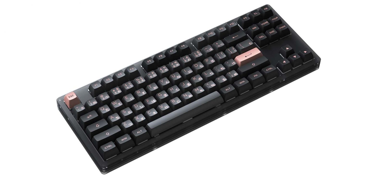 Bàn phím cơ AKKO ACR61 black AKKO CS Jelly black switch