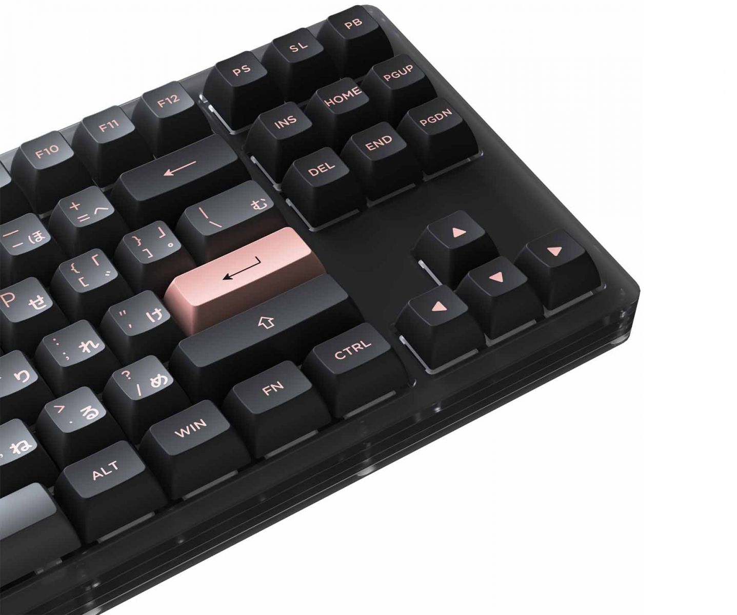 Bàn phím cơ AKKO ACR61 black AKKO CS Jelly black switch