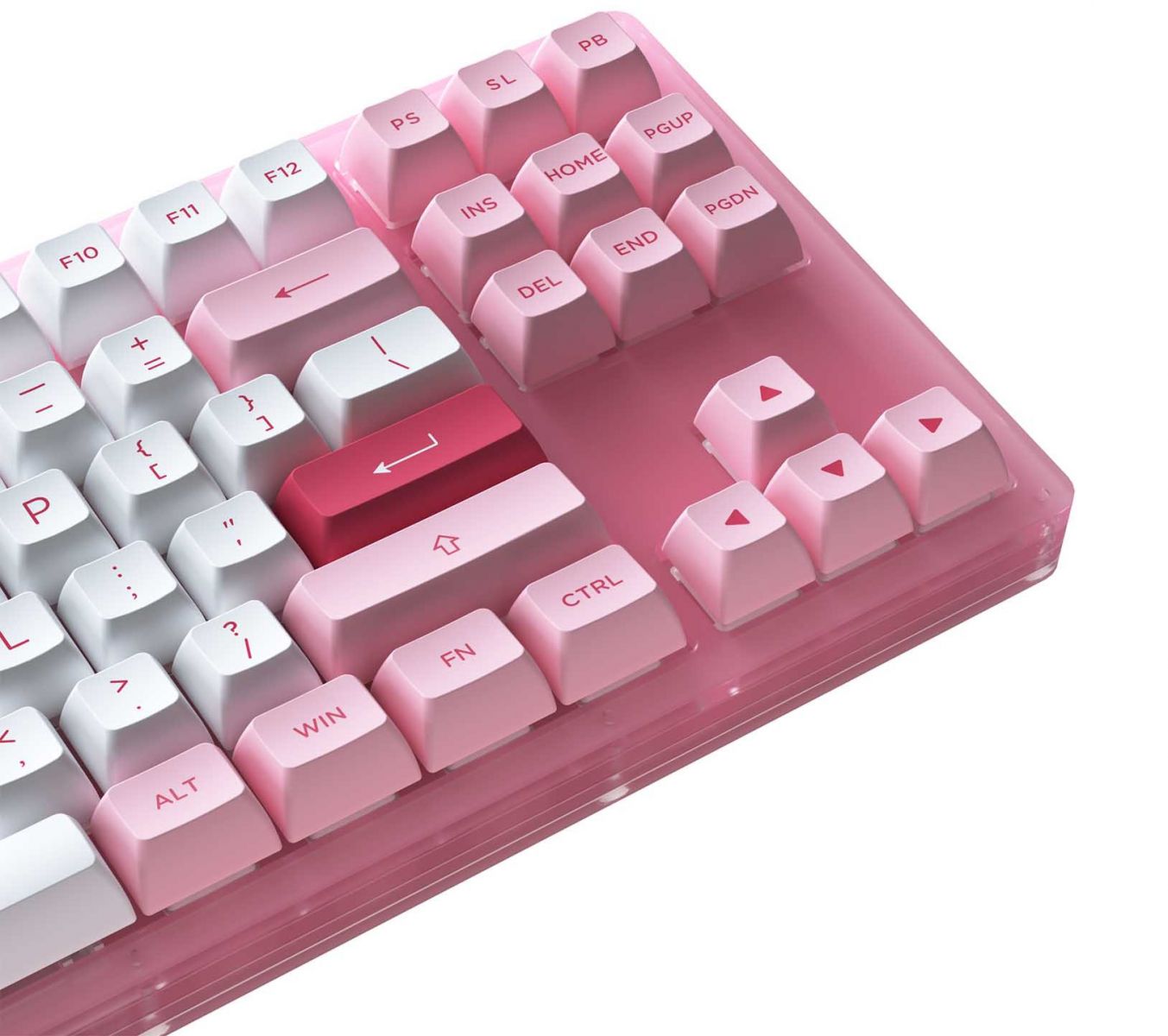 Bàn phím cơ AKKO ACR61 Blue AKKO CS Jelly Blue switch