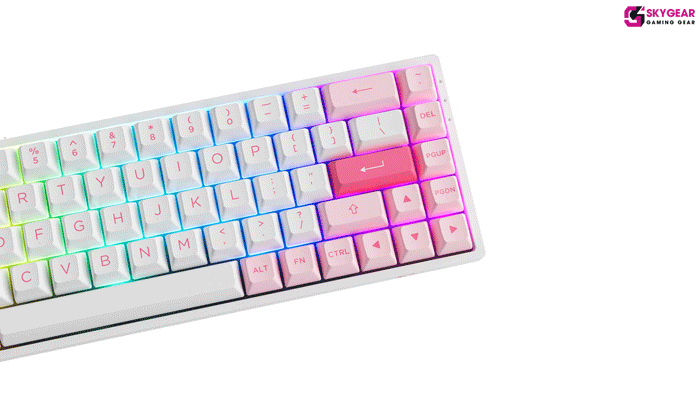 Kit bàn phím cơ AKKO 3068B Multi-modes Prunus Lannesiana