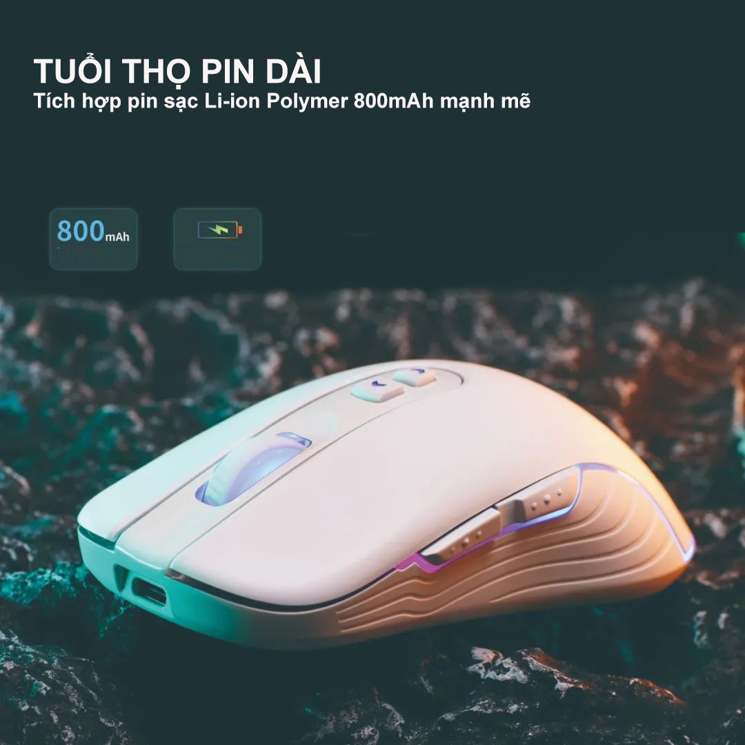 Thiết kế của chuột máy tính WGX 6.