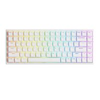 Bàn phím cơ AKKO 3084 v2 RGB - White  Akko CS Jelly Purple switch